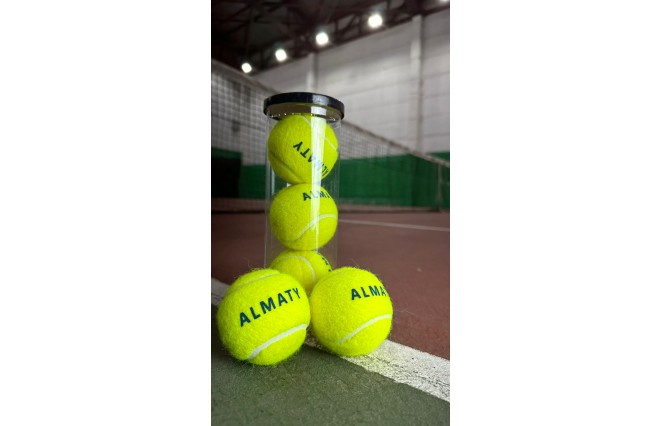 Теннисные мячи ALMATY